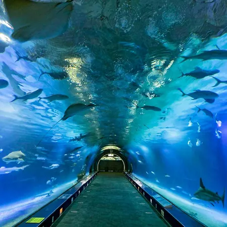 Duplex-port-valencia 펜션 발렌시아